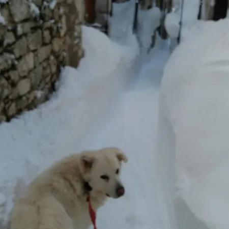 Alojamento de Acomodação e Pequeno-almoço La Pretera