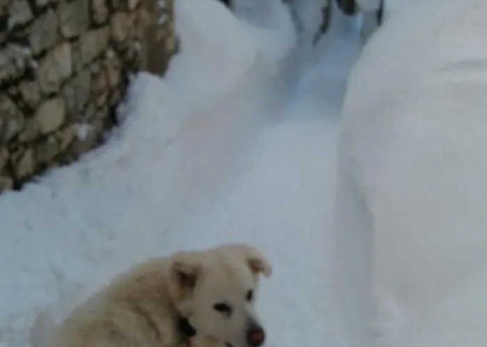 Bed and Breakfast La Pretera