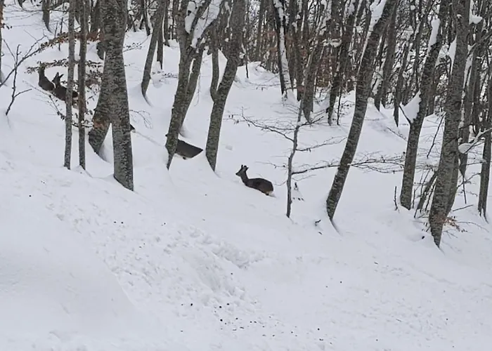 La Pretera Bed and Breakfast